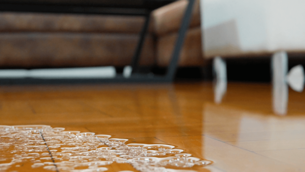 Disaster Cleanup and Restoration Services in Kent